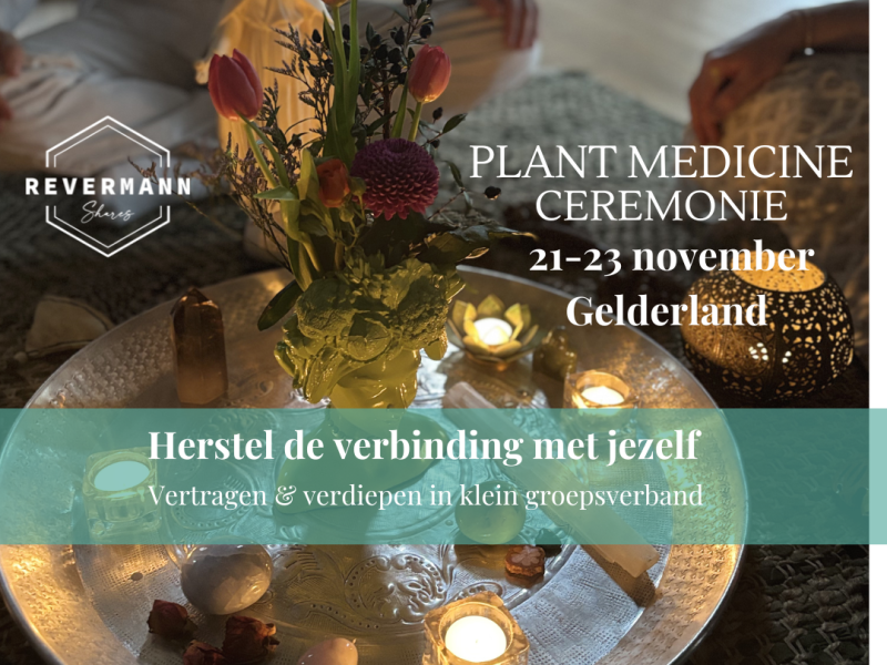 Plant Spirit Ceremony