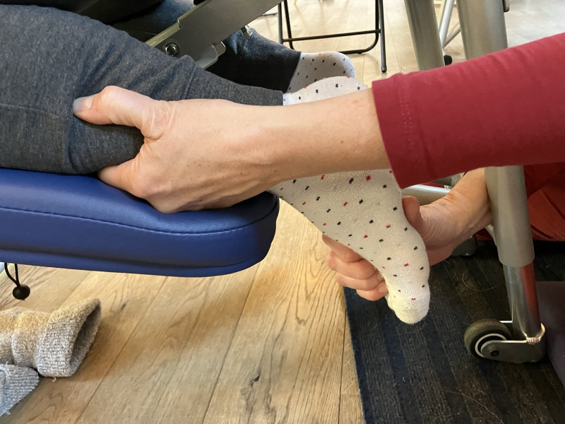 Vol 3 daagse Basistraining Massage, Zenuwstelsel & Tao