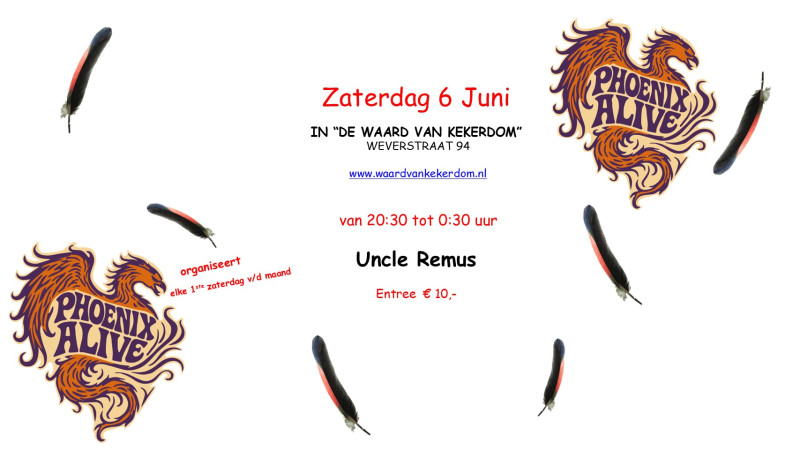Dansen bij Phoenix-Alive in de Waard van kekerdom