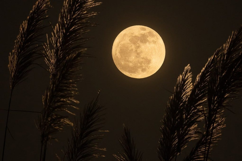 Volle Maan Wandeling + Astrologische uitleg