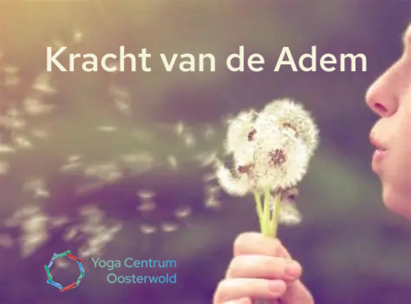 Masterclassreeks De Kracht van de Adem