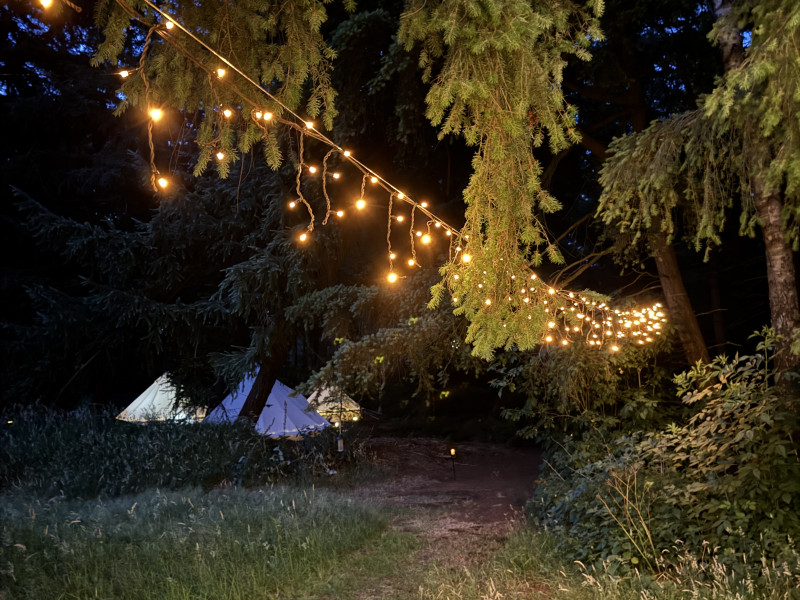 Forest Edge Retreats speciaal voor mannen
