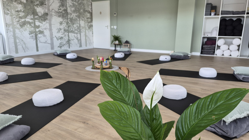 Adem & Zenuwstelsel Circle – oktober - Relaxation, Auto-soin, Breathwork