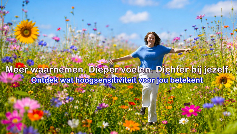 Hoogsensitiviteit in je leven