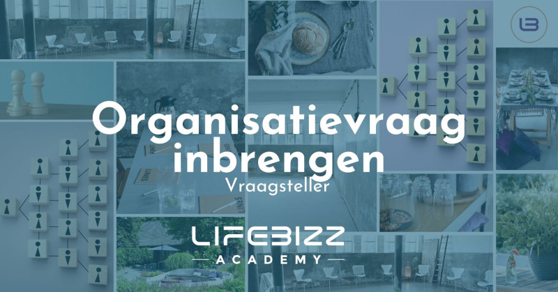 Organisatievraag inbrengen - LifeBizz Academy - Familiesysteem, Systemisch werk, Opleiding