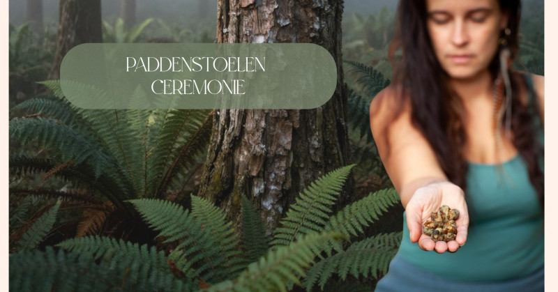 Paddenstoelen ceremonie