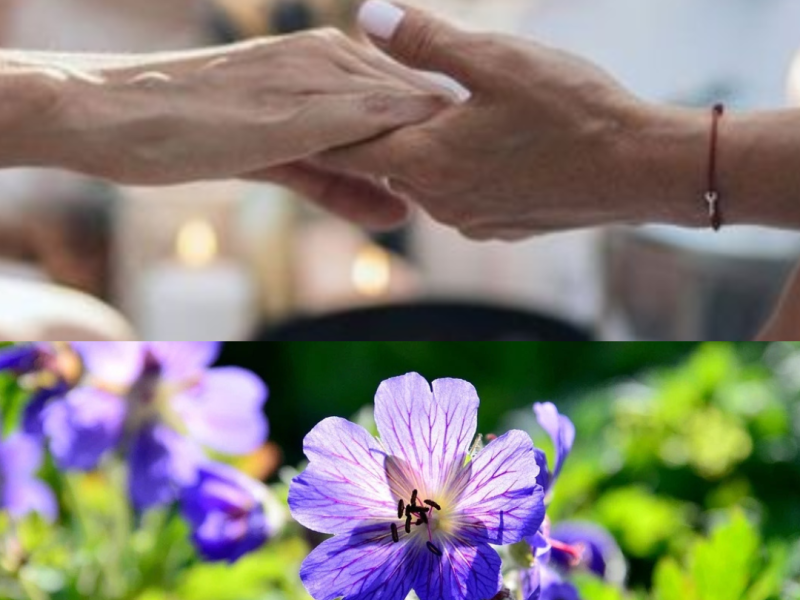 Reiki zelfbehandelingscirkel met kruidenfrequentie - Reiki, Sharing Circle, Healing