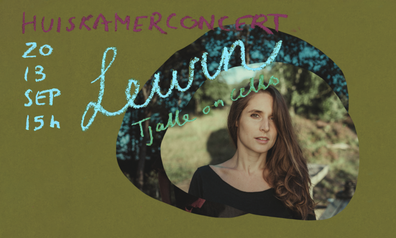 Lewin - Huiskamerconcert: Nieuwe liedjes in een nieuwe bezetting