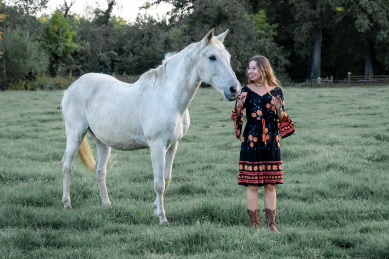 Verbindingsmoment met de paarden