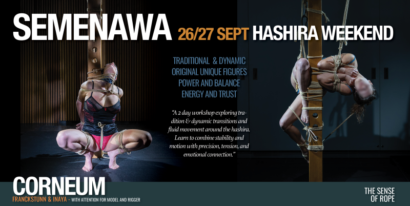 Shibari Hashira - Dynamic & Traditional - workshop weekend