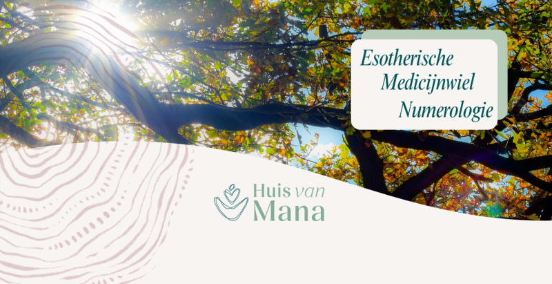 Esotherische medicijnwiel numerologie  - Autres ateliers, Cours, Développement personnel