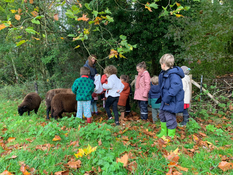 Wortelstok mini herfstkamp - di 28/10 en woe 29/10 - Kids Activity, Mini retreat in nature