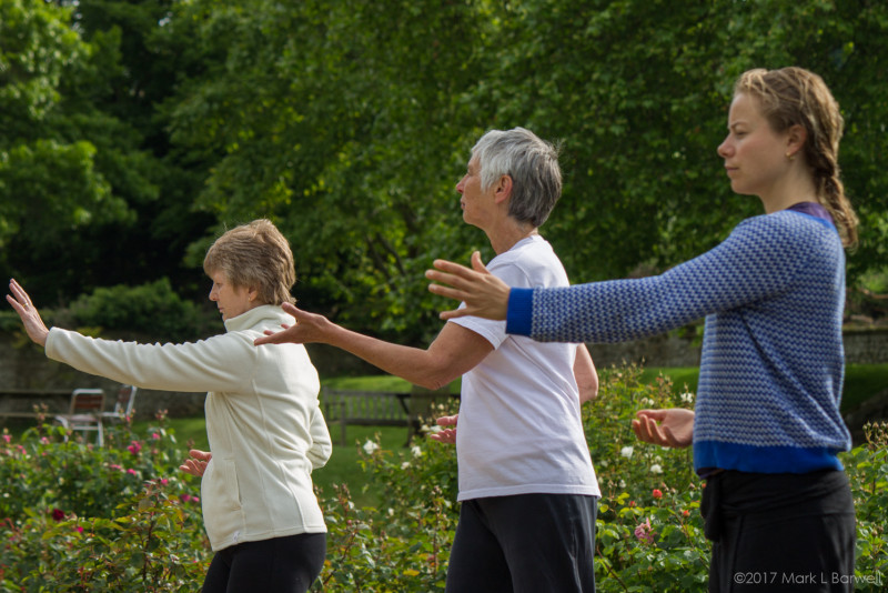 Start the Week Qigong