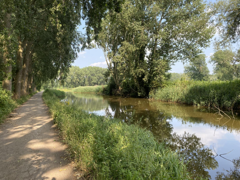 Natuurwandeling - Kayaktocht