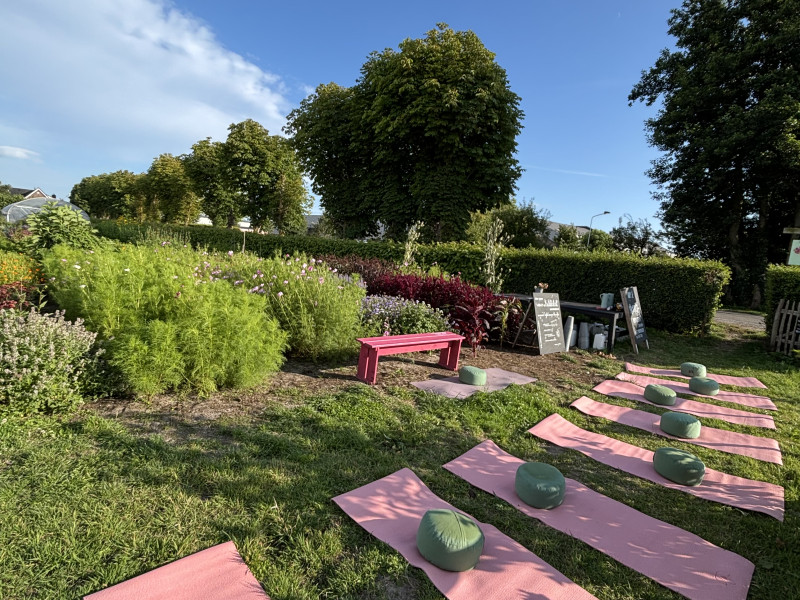 Yin Yoga & Yoga Nidra - Yoga, Yoga Nidra, Vrouwen workshops