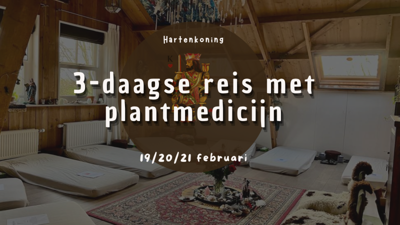 Plantmedicijnweekend met voorbereiding en integratie