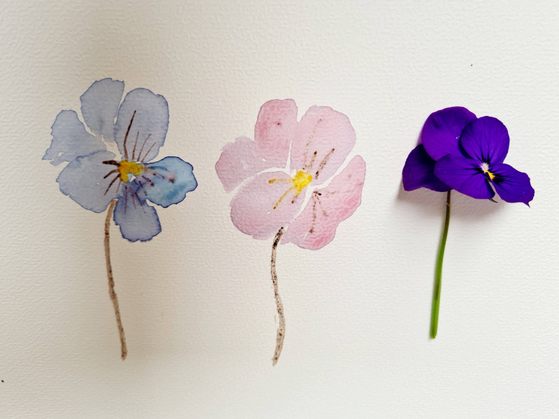 Van planteninkt tot aquarel