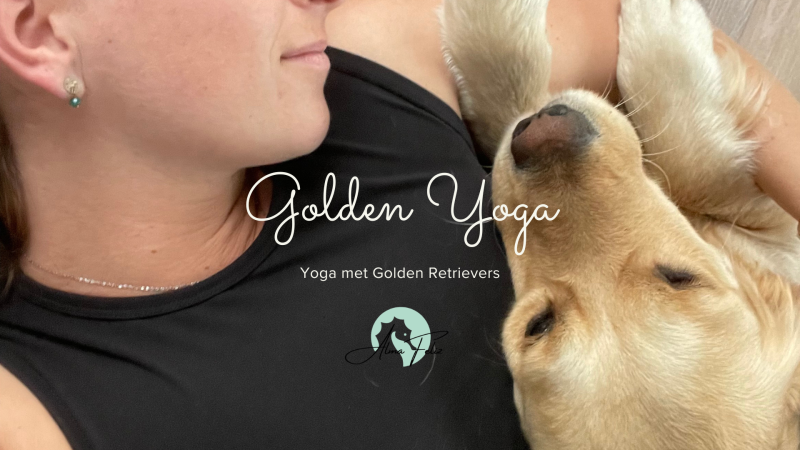 Golden Yoga | Een ochtend van rust en verbinding