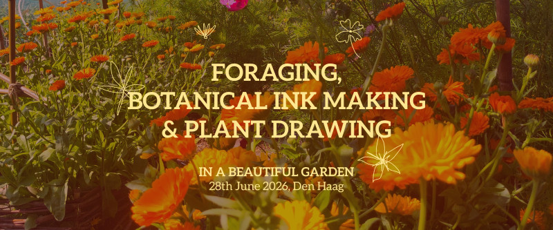 Foraging, botanical watercolor making and plant drawing