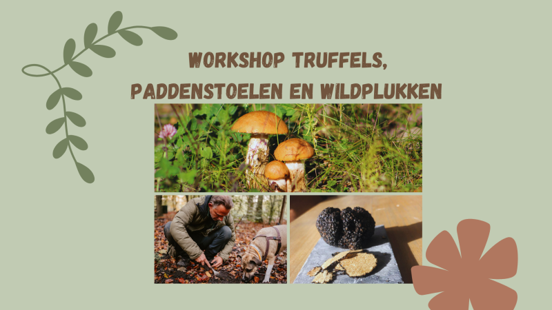 Workshop Truffels,  Paddenstoelen en Wildplukken 