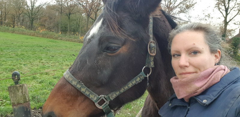 Proefsessie; Wat wil ík eigenlijk? - Chevaux, Développement personnel, Auto-soin