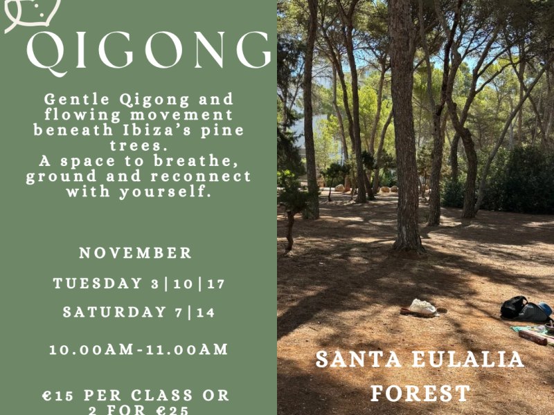 Qigong In The Forest