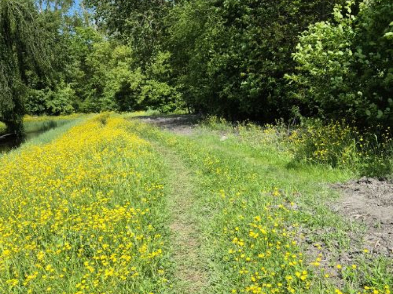 Verken jezelf wandeling - Bos in Heerhugowaard