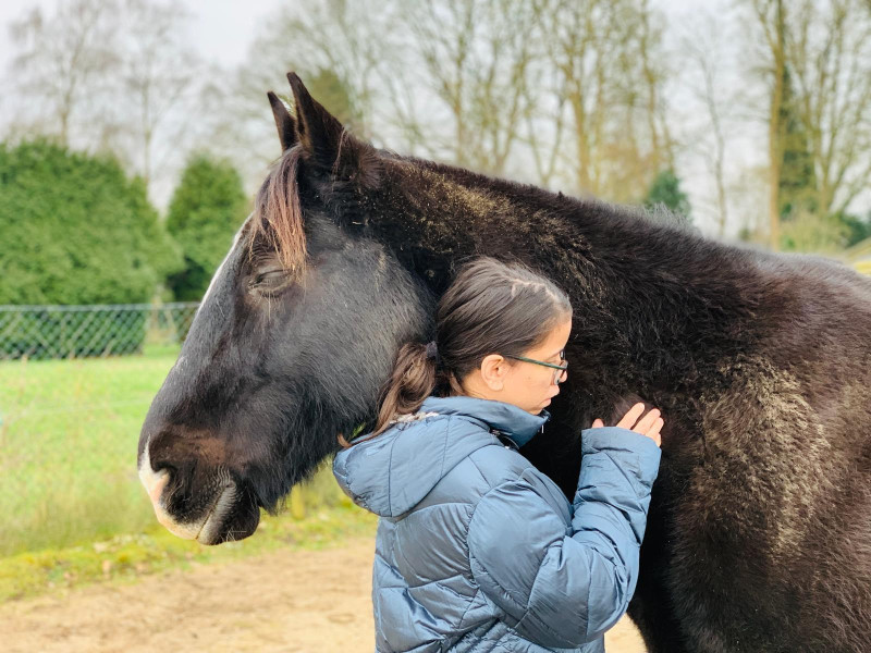 Paardencoaching