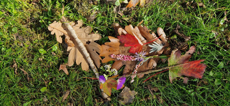 Touch grass: nature connection (gratis)