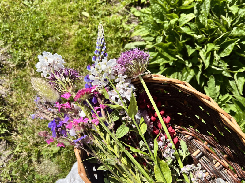 Slow Sunday: Yoga & Bloemplukken