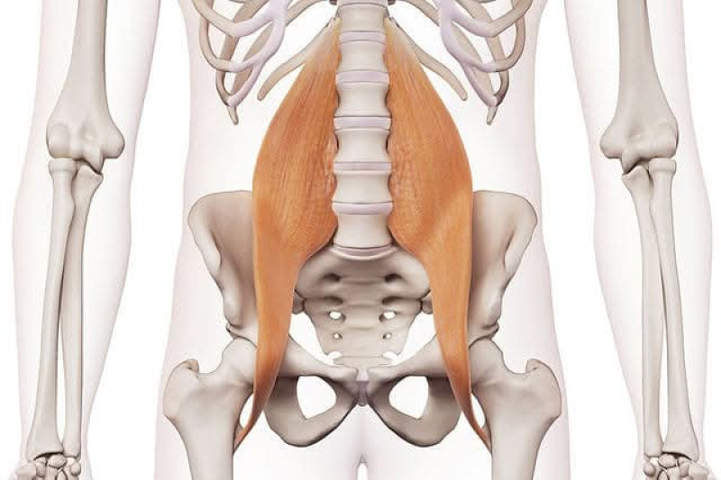XL Psoas, spier van de ziel