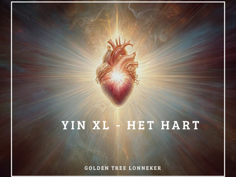 YIN XL - Het hart