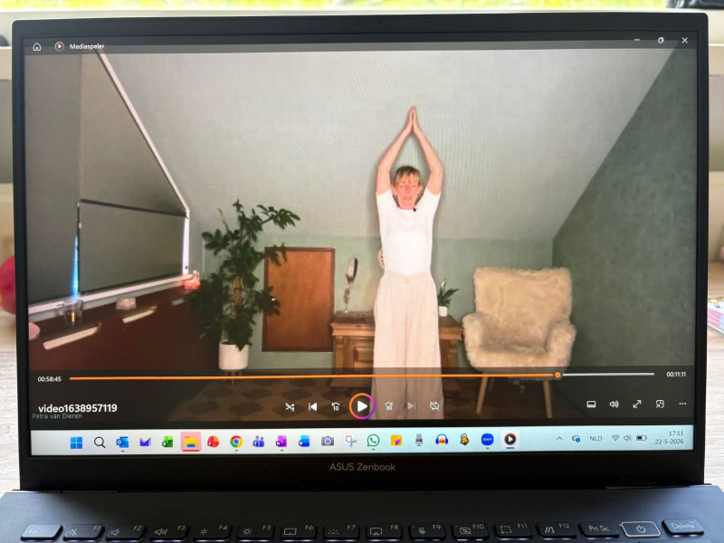Online Qigong les
