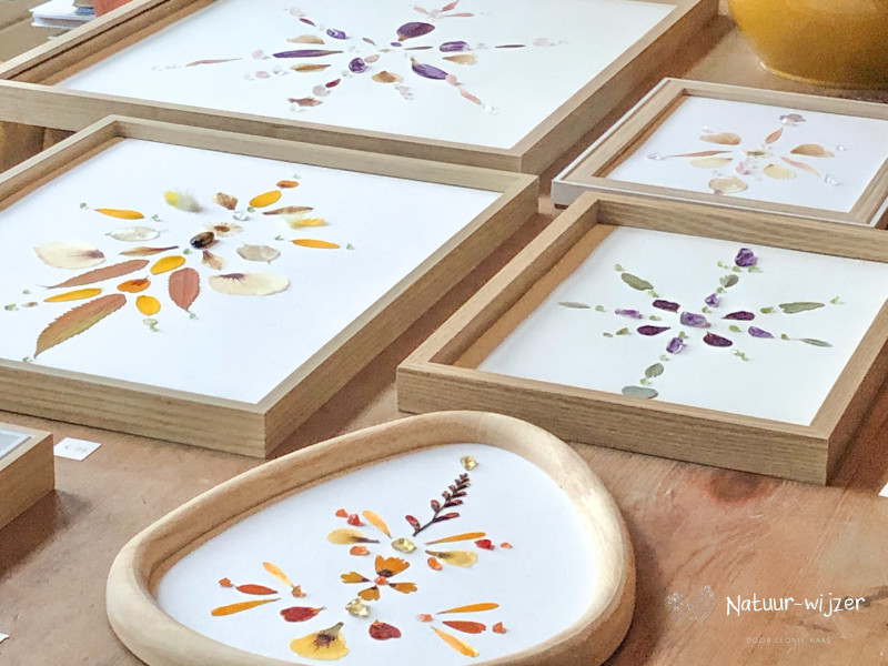 Natuur-Wijzer – Energetisch schilderij maken met edelstenen en bloemen