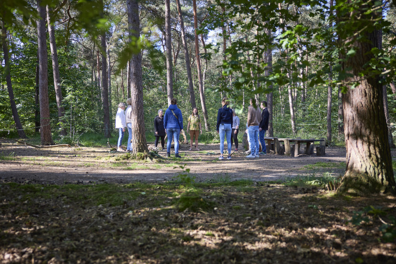 The Forest Invitation (Eindhoven) - edition novembre