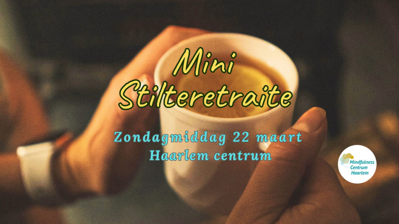 Mini-Retraite in Stilte, zo.22 mrt 13.00h -17.00h Haarlem centrum