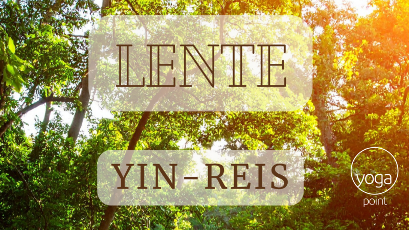YIN YOGA SPECIAL | LENTE | 2 uur Yin Yoga Verdiepingsreis