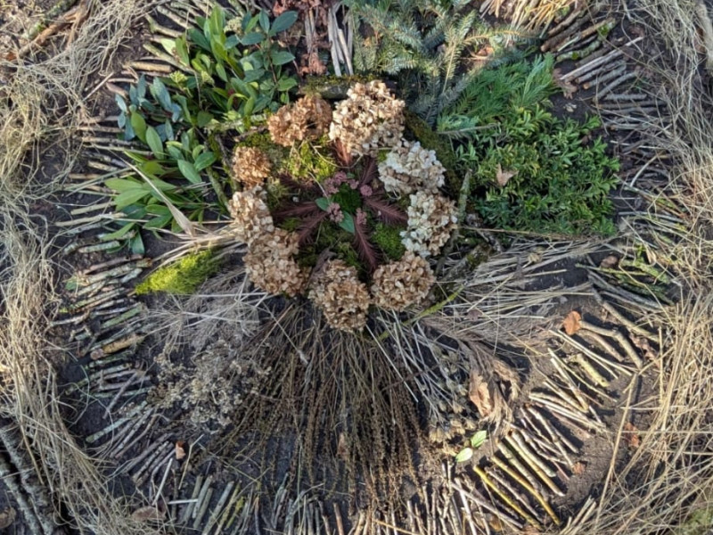 In stilte wandelen en samen een natuurmandala maken
