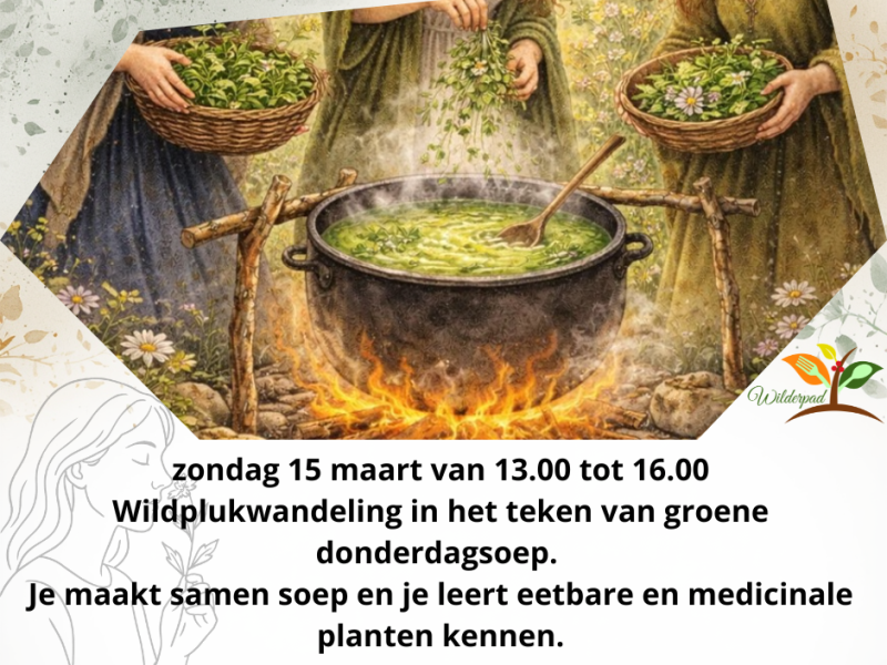 Wildpukwandeling Groene donderdag soep plukken en bereiden