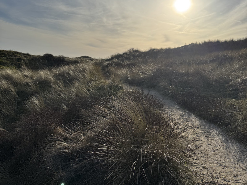 Het Innerlijk Kompas | Duin en Kruidberg | 1-daagse