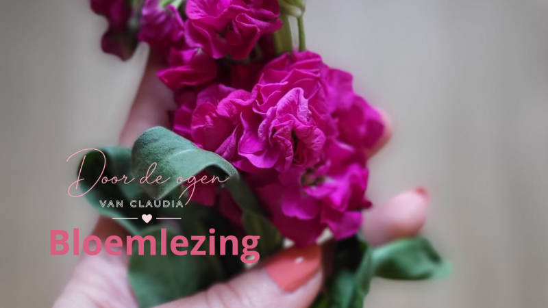 🌸 Iedere bloem vertelt een verhaal. Benieuwd naar dat van jou?