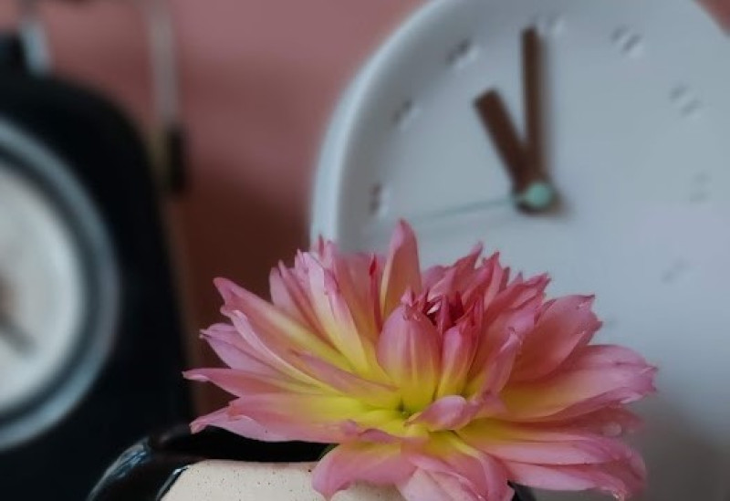 Numerologie met bloembeleving 15 oktober - Consciousness Development, Personal Development, Self-Love