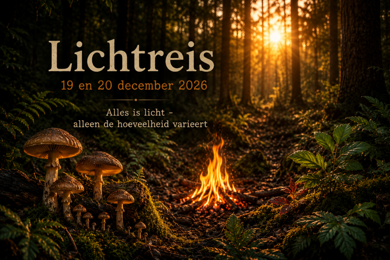 Lichtreis - tweedaagse truffelretreat