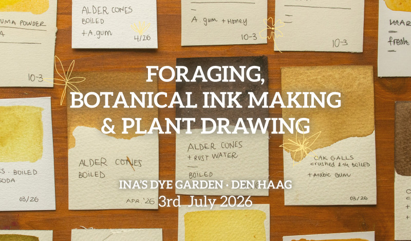 Foraging, botanical watercolor making and plant drawing