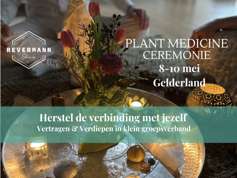 Plant Spirit Ceremony