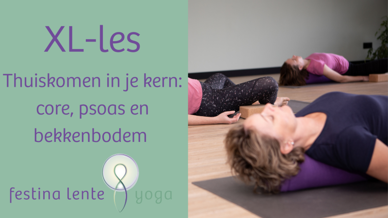 XL-les Thuiskomen in je kern: core, psoas en bekkenbodem