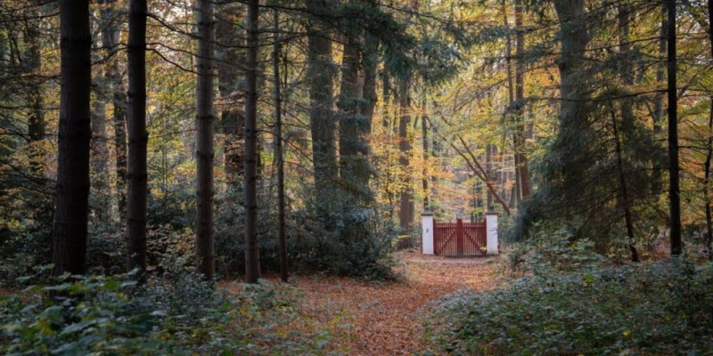 Herfst special: Stilte weekend retraite