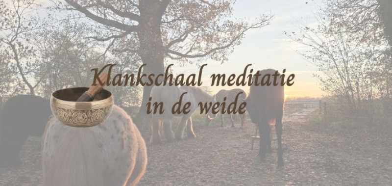 Klankschaal meditatie in de wei - gedragen door het veld
