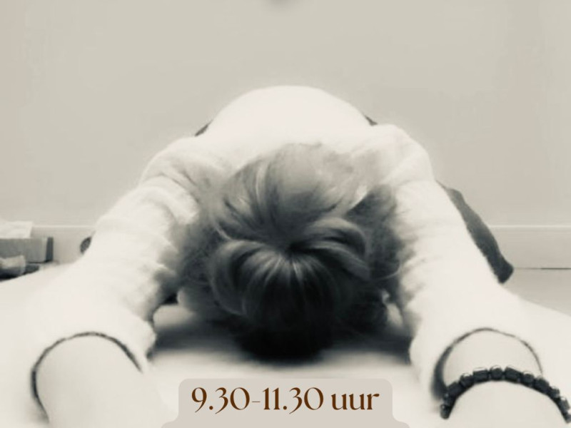 YIN XL 17 mei