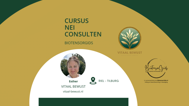 Cursus NEI Consulten